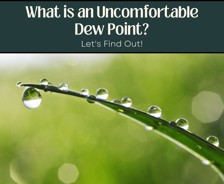 What Is An Dew Point? (Expert's View!)