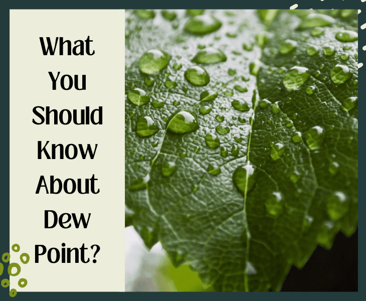 What Is An Dew Point? (Expert's View!)