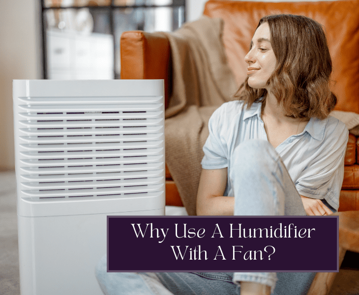 Will A Humidifier Work With A Ceiling Fan On? (Expert's View!)