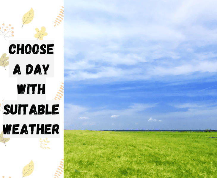 How To Fly A Kite In Low Wind? (Fool Proof Guide!)