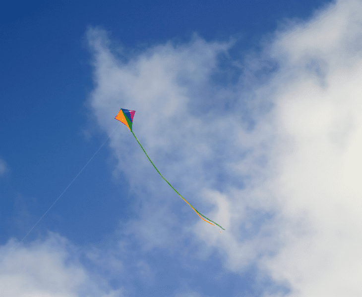 How To Fly A Kite In Low Wind? (Fool Proof Guide!)