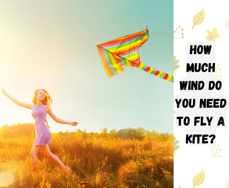 How To Fly A Kite In Low Wind? (Fool Proof Guide!)