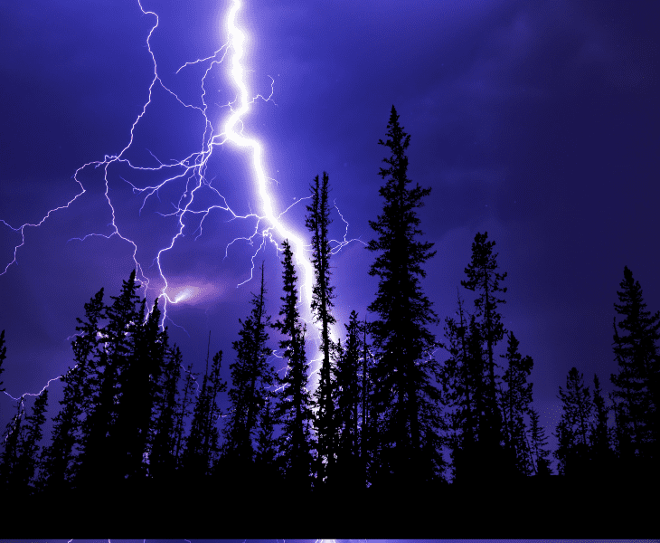 What Happens When Lightning Strikes Near You? (Find Out!)