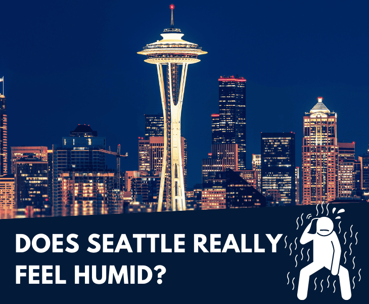 Is Seattle Humid or Dry? (Let's Find Out!)