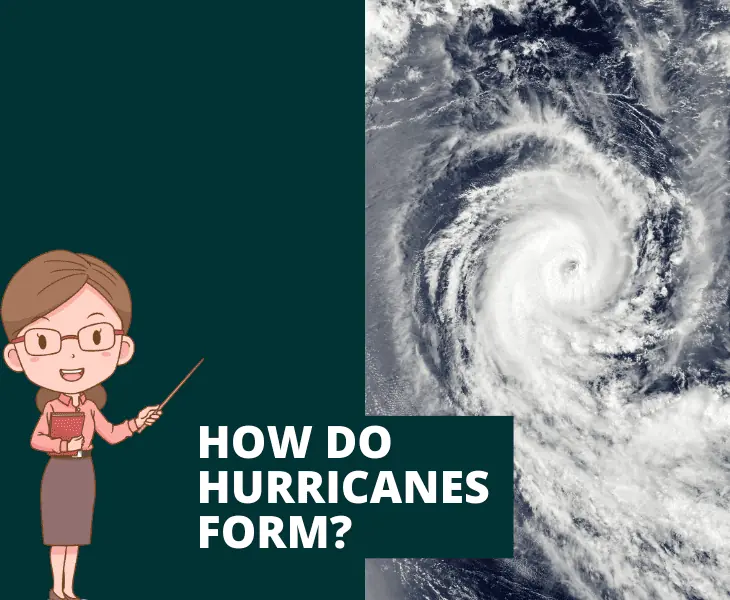 Effects of Hurricanes on The Environment - (Expert Analysis)