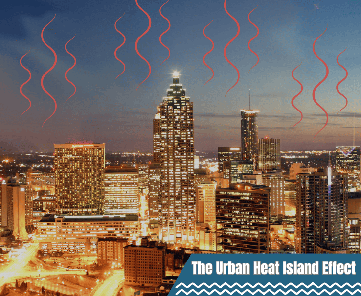 Does It Snow In Helen (Decoding Snow Mystery!)